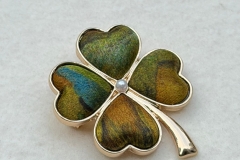 WhatsApp Image 2026-01-22 at 14.59.59 (2)