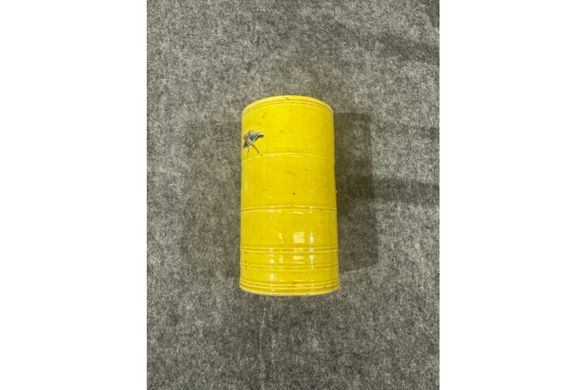 WhatsApp 图像2025-05-02于13.43.32_2d413760