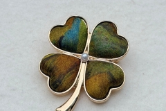 WhatsApp Image 2026-01-22 at 14.59.59 (3)