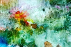 DrYim2