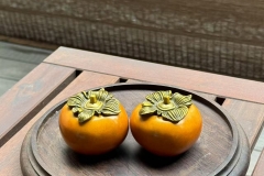 ce7d389d0acd1a7e4c678f673d69641