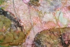DrYim3